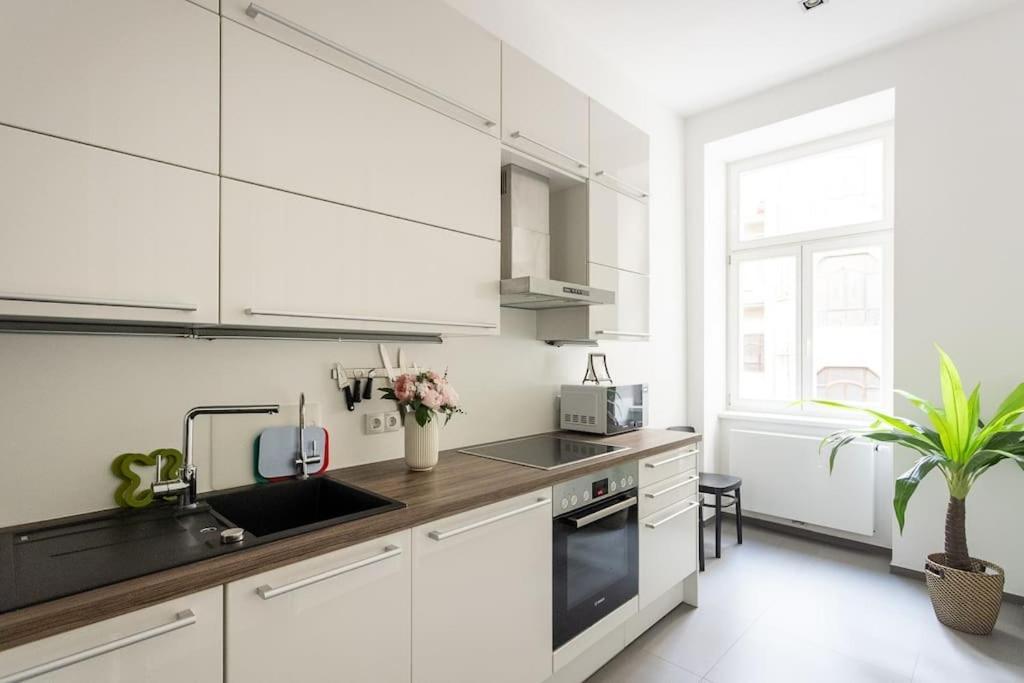Franz 24 - Typical Viennese Apartment In The Heart Of Vienna Luaran gambar
